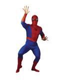 Spiderman Costume