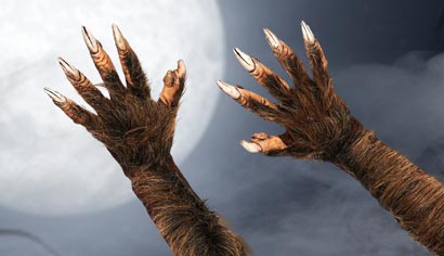 Werwolf Handschuhe
