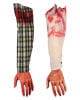 Severed bloody arm 