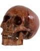 Bloody Skull With Moving Jaw 