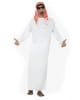 Sheik costume 