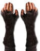 chimpanzees gloves 