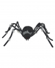 Black Spider With Gray Hair 182cm Ø 