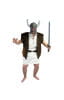 Viking Costume 