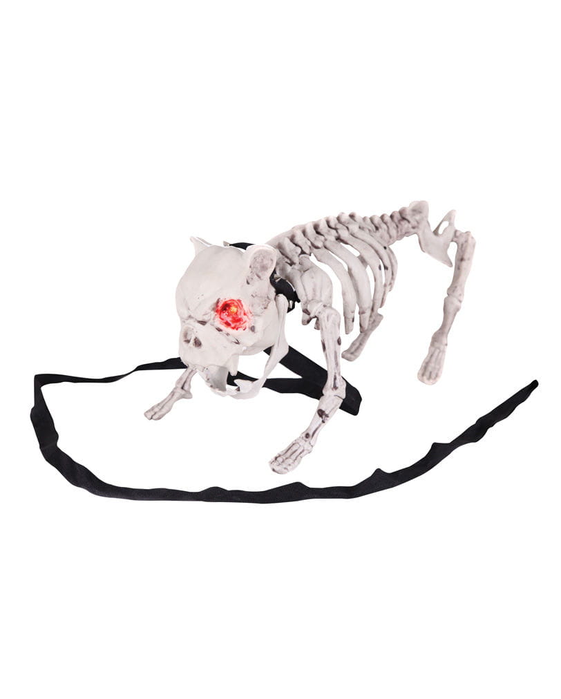 Skelett Hund mit LED Augen &amp; Sound eBay