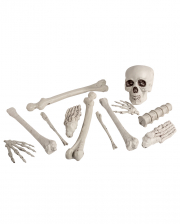 Bone Set 12 Pieces 