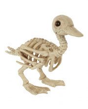 Baby Skelett Ente 19cm 