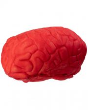 Bloody Brain As A Halloween Prop 15cm 