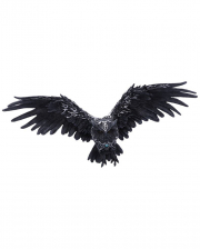 Dark Feather Owl Wandbild 55cm 