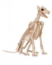 Doberman Skeleton 
