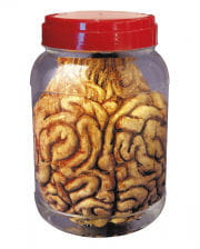 Jar with Brain