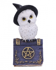 Owl With Pentagram Witch Book 12,5cm 