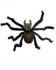 Fat Spider With Giant Jaw Claws 90cm 