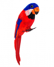 Feathery Parrot Red And Blue 
