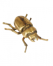 Gold-colored Female Stag Beetle Wall Art 24 Cm 