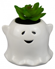 Halloween Ghost With Decoration Plant 9cm 