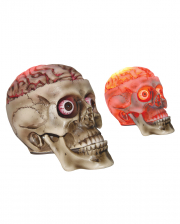 Halloween Totenkopf mit Bloody LED Brain 19cm 