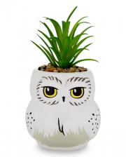 Harry Potter Hedwig Pot With Plant 