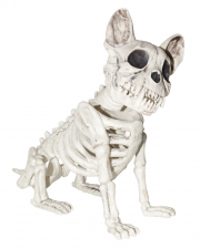 Hundeskelett Dogge sitzend