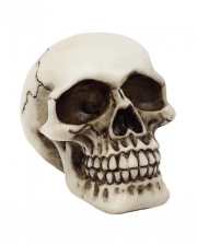 Small Skull 9,5cm 