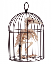 Crows Skeleton In Cage 