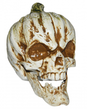 Pumpkin Skull Table Decoration 21cm 