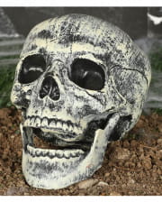 Plastic Skull 20cm 