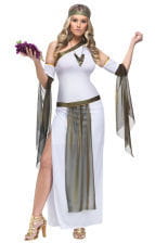 Love Goddess Costume 