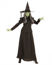 Fairy Witch Costume 