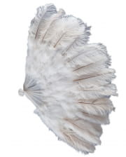 White Burlesque Feather Fan XXL 50cm 