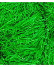 Easter grass from paper wool 50 g 
