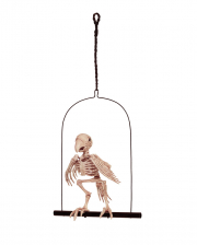 Papagei Skelett auf Schaukel 32 cm 