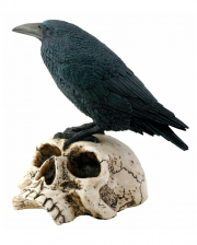 Raven On Skull Skull 