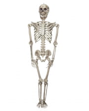 Riesen Skelett Figur 200 cm 