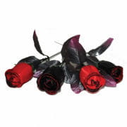 Rosen Set schwarz/rot 