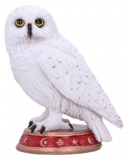 Wizard Snow Owl 10cm 