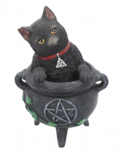 Black Cat In Witch Cauldron 12cm 