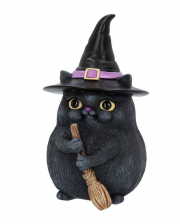 Black Cat With Witch Hat 