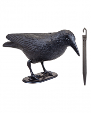 Black Crow With Ground Spike 
