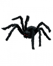 Schwarze Spinne klein