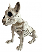 Sitzender Skelett Hund 28cm 