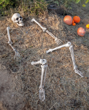 Skelett Deko für die Halloween Party