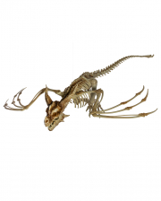 Skelett Drache mit positionierbaren Flügeln 90cm 