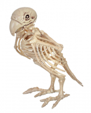 Skeleton Parrot 19cm 