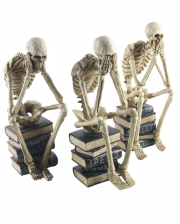 Skelette auf Bücher sitzend 3er-Set 35cm 