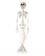 Skelettierte Meerjungfrau 45cm 