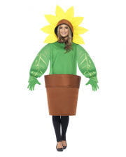 Sunflower in pot costume 