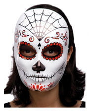 Halloween mask with spider web 