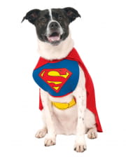 Superman Dog Costume M 