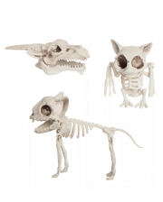  Pipihome Skelett Figuren Gothic Deko, Coole Skelett